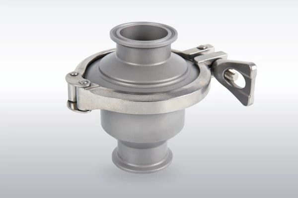 Check Valve