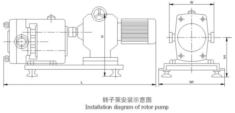 Sanitary Rotor Lobe Pump YUY-Z